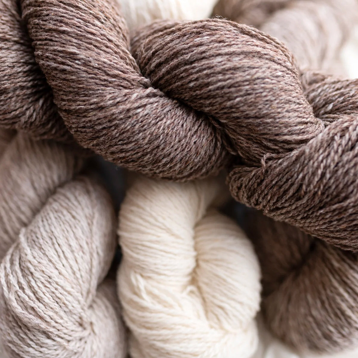 Undyed Natural Sport Weight Yarn - Wm. Booth, Draper