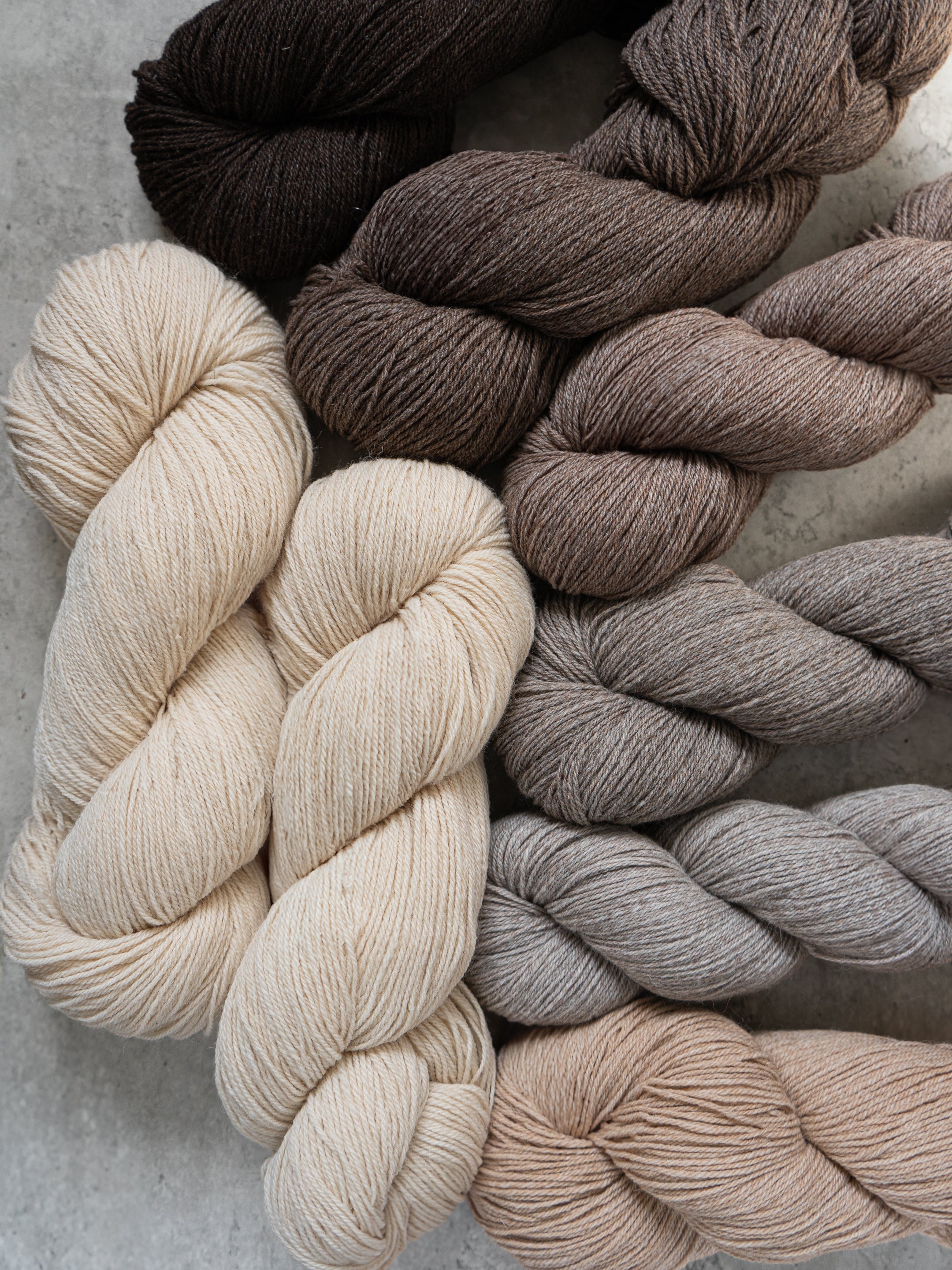 Better Breakfast Fingering <br/><small>merino, alpaca & Nylon</small>