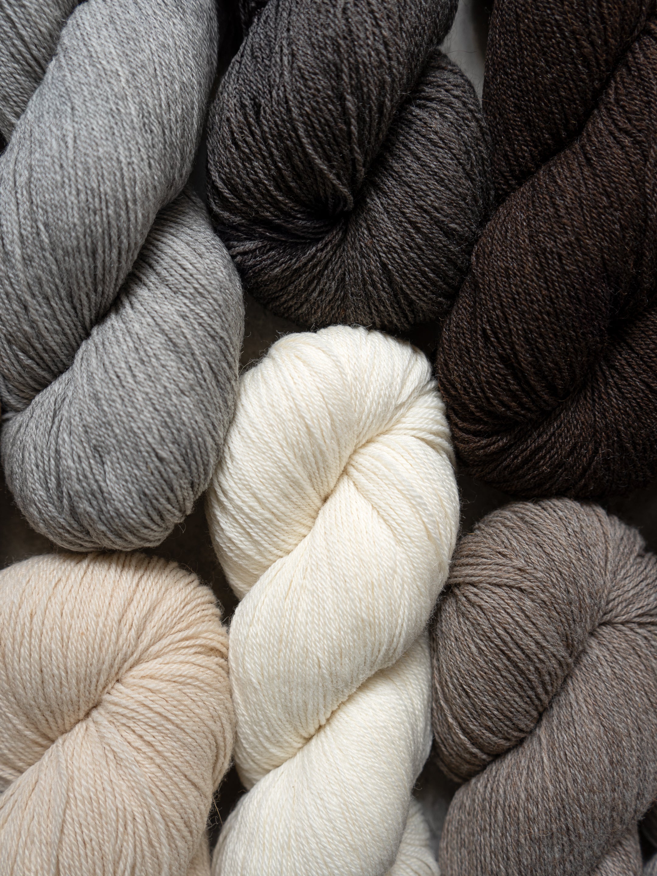 Better Breakfast Fingering <br/><small>merino, alpaca & Nylon</small>