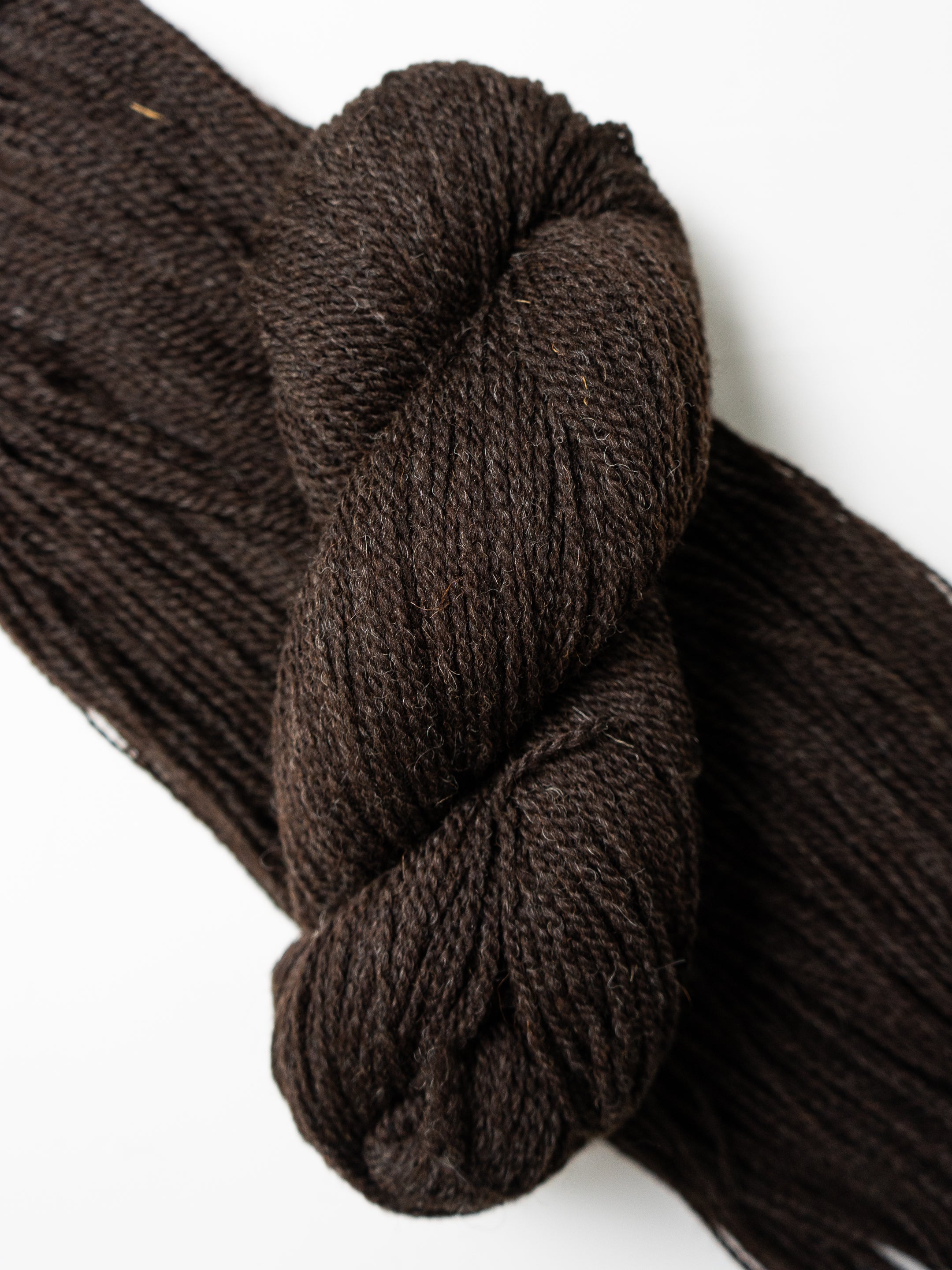 Black Welsh Mountain Worsted<br><small>100% black welsh mountain</small>