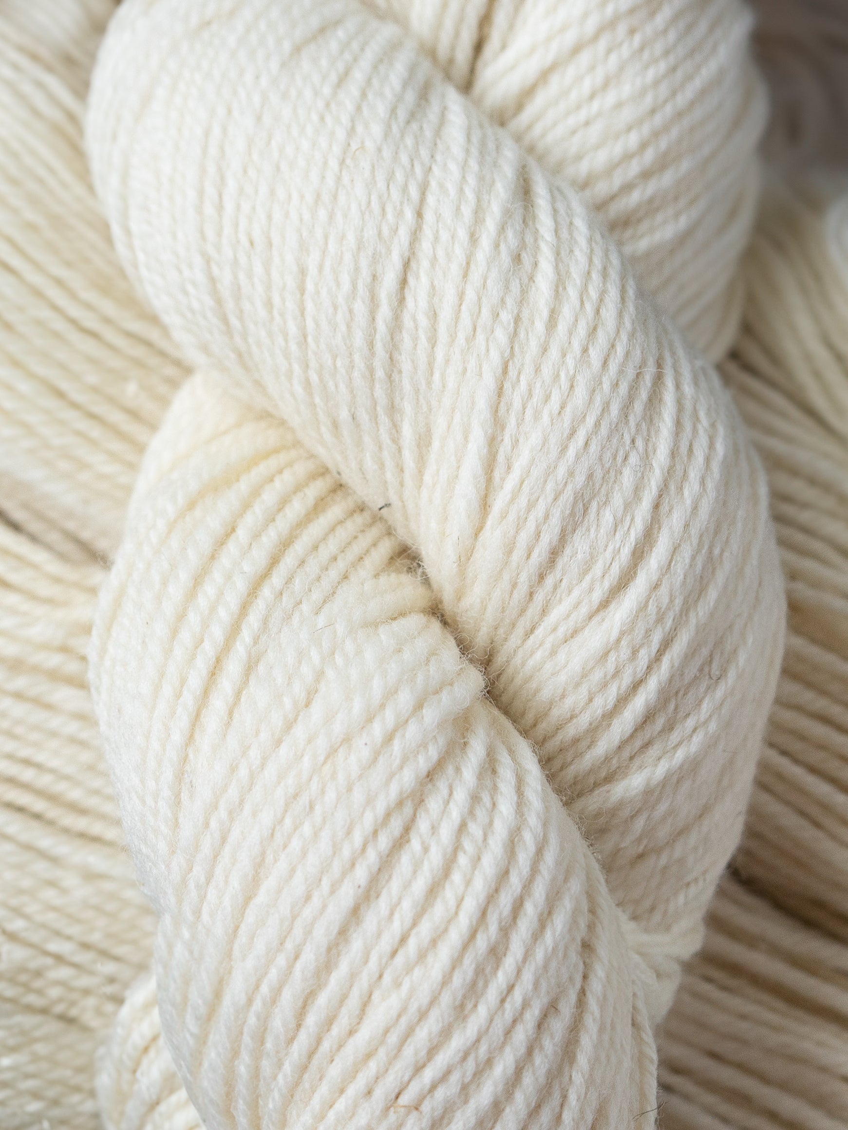 Confection Worsted <br><small>100% corriedale</small>