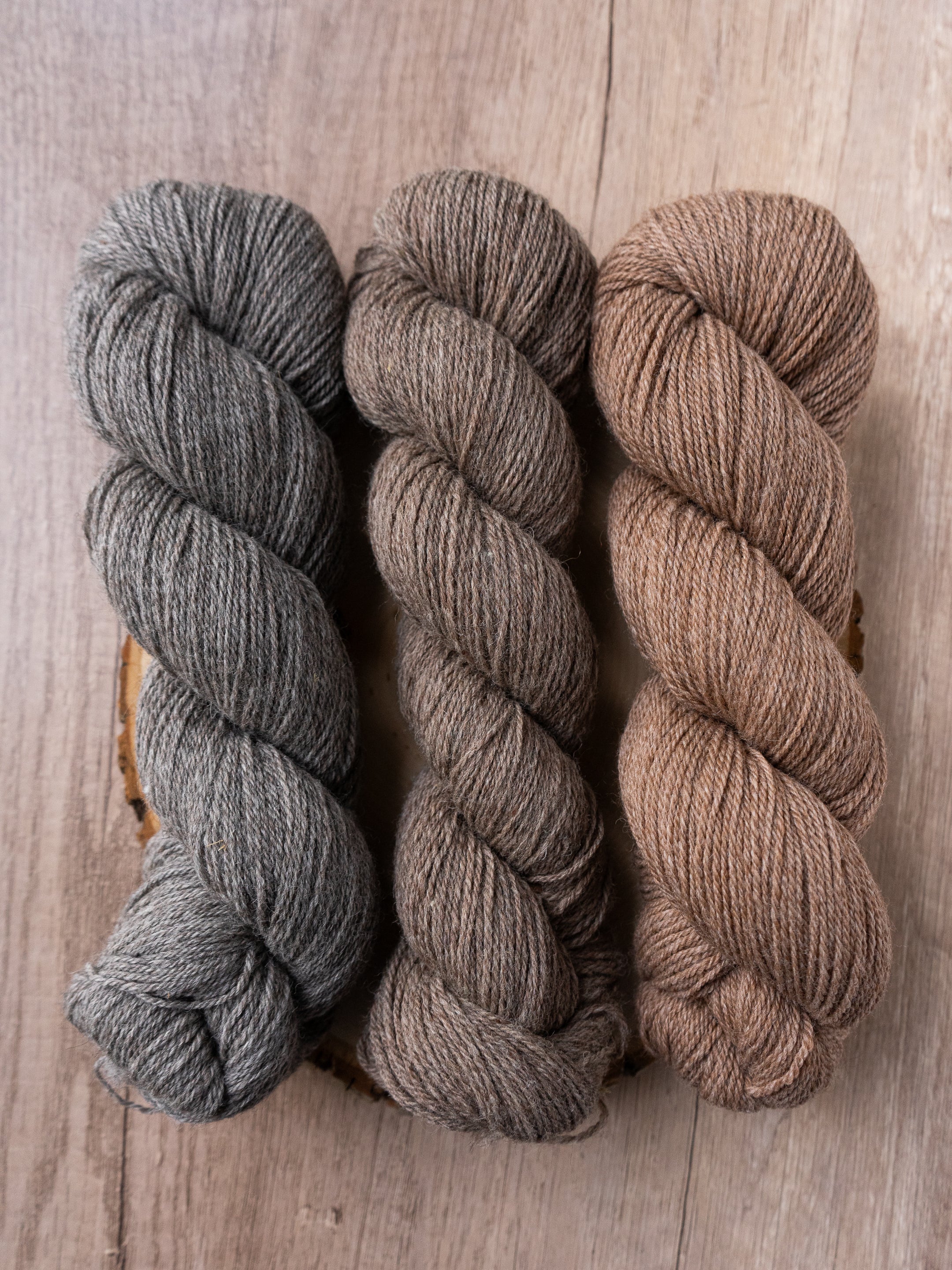 Milkshake Sport <br><small>east friesian milk wool & alpaca</small>