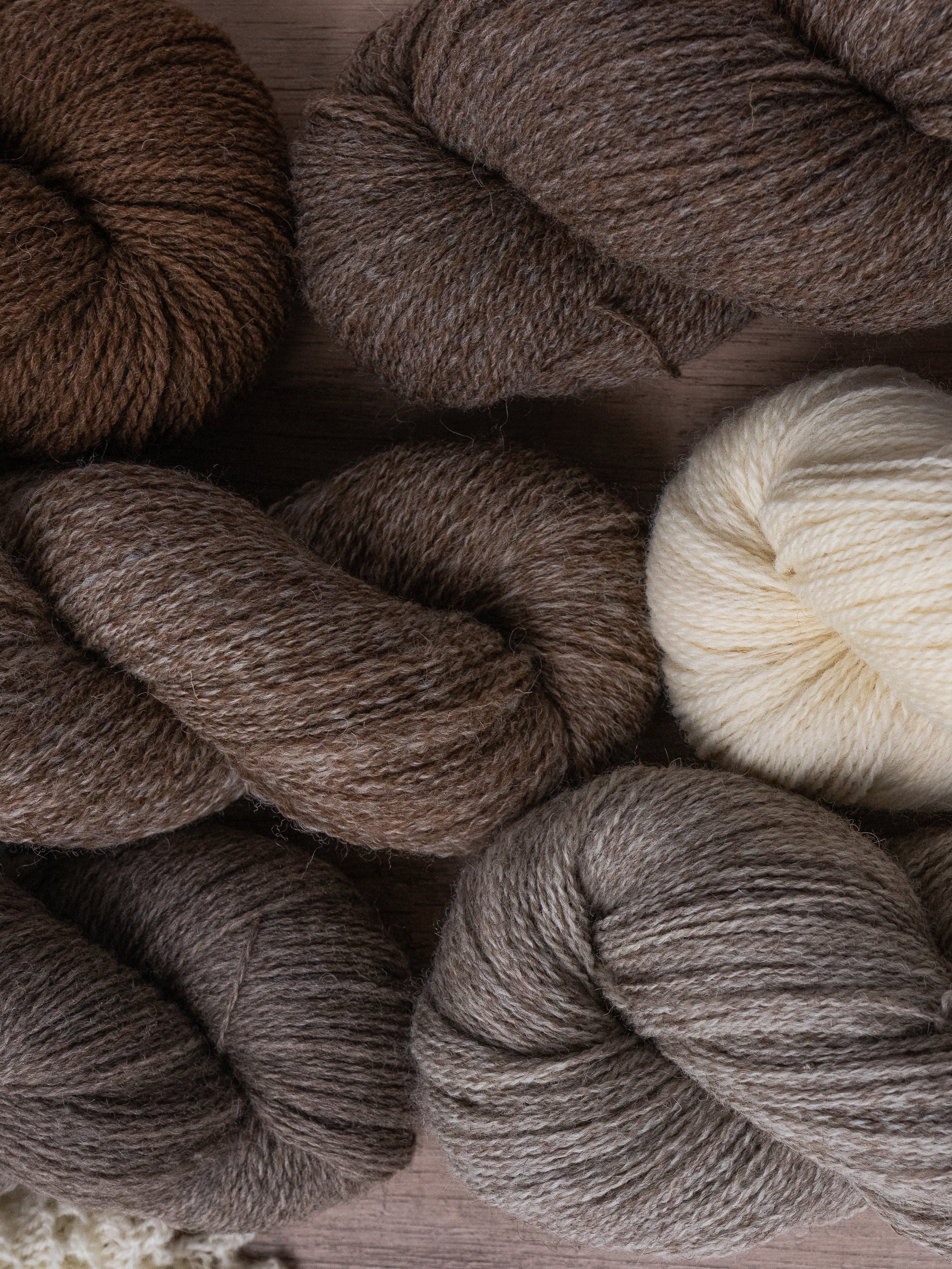 Shetlandia Sport <br><small>100% british shetland wool</small>