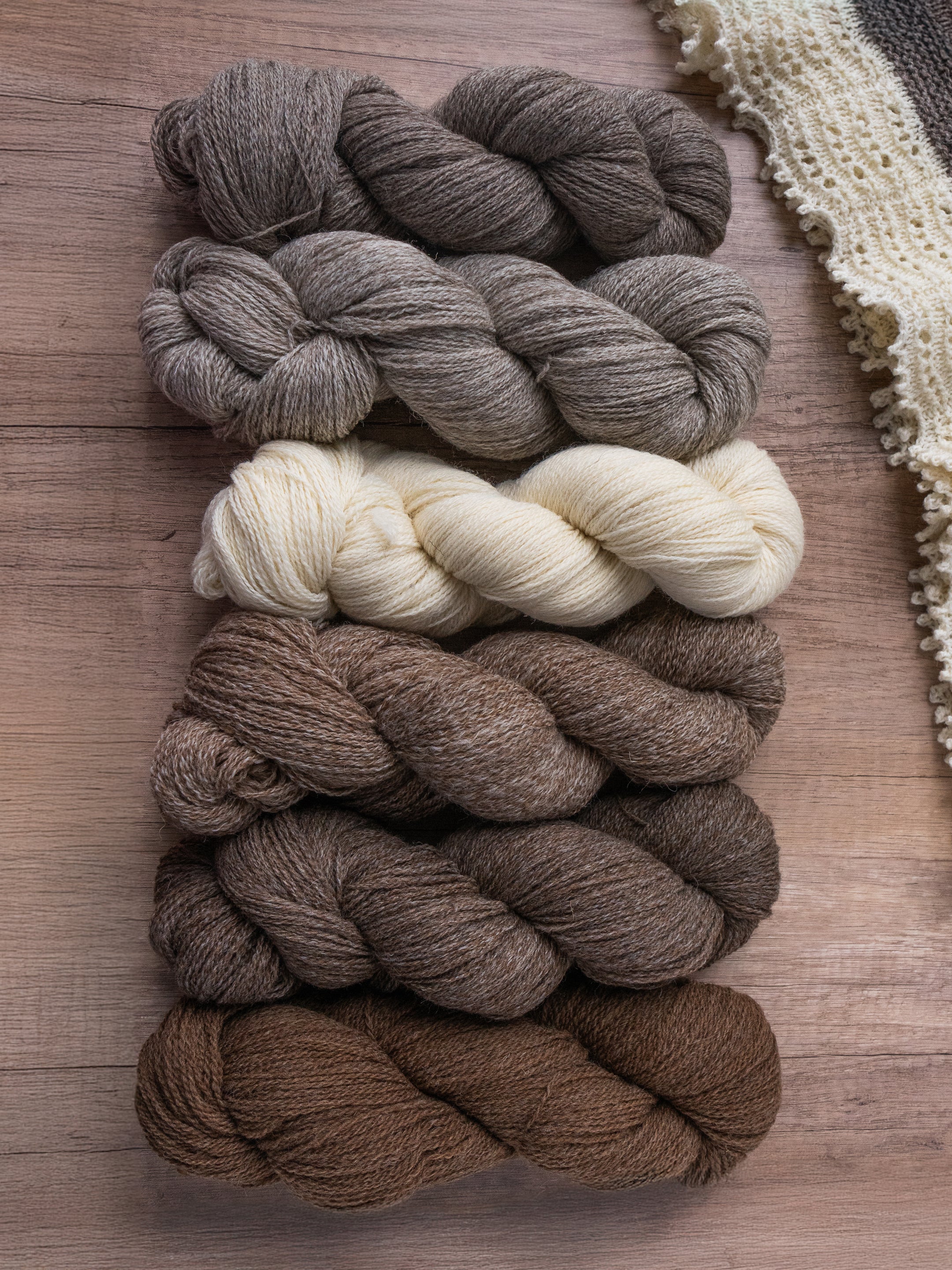 Shetlandia Sport <br><small>100% british shetland wool</small>