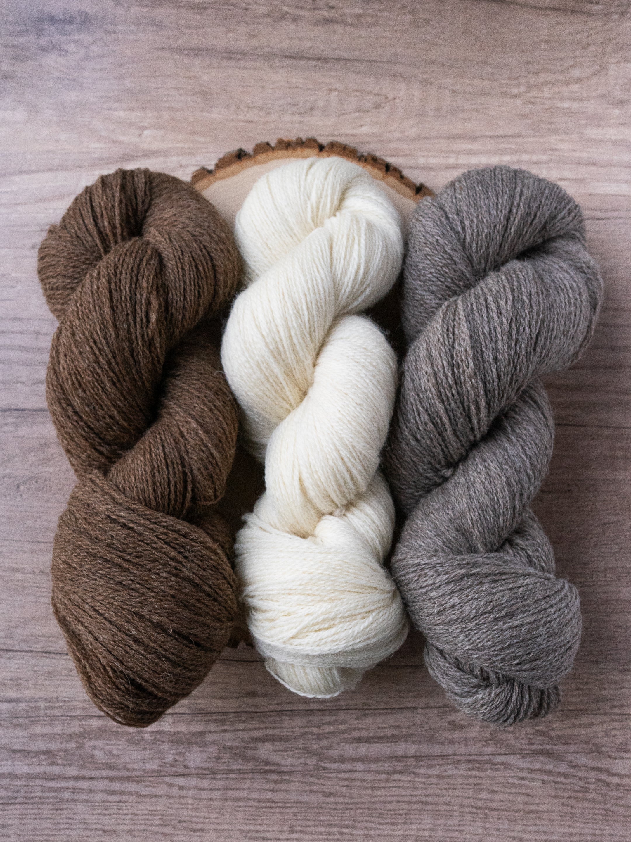 Shetlandia Fingering <br><small>100% british shetland wool</small>