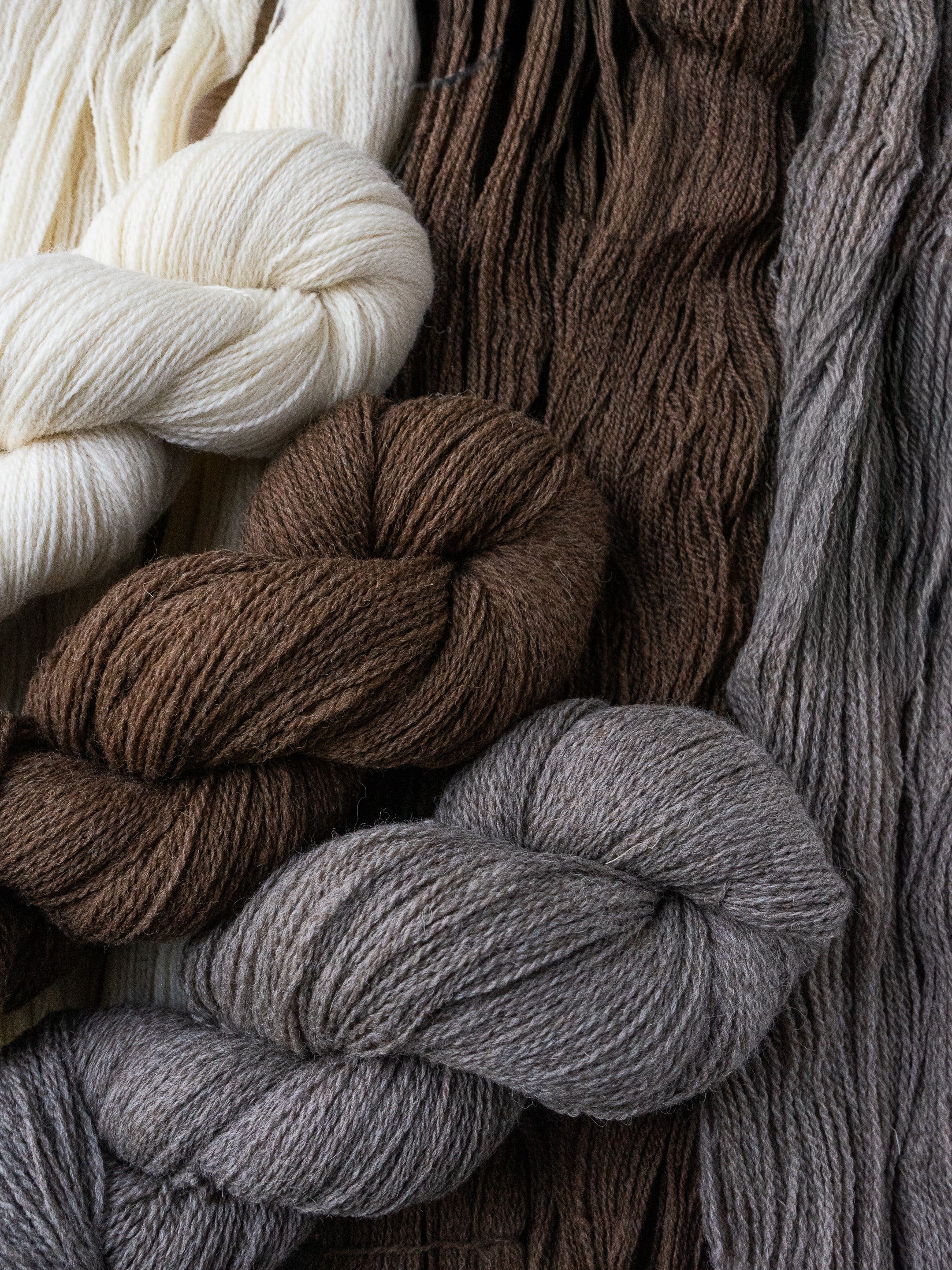 Shetlandia Fingering <br><small>100% british shetland wool</small>