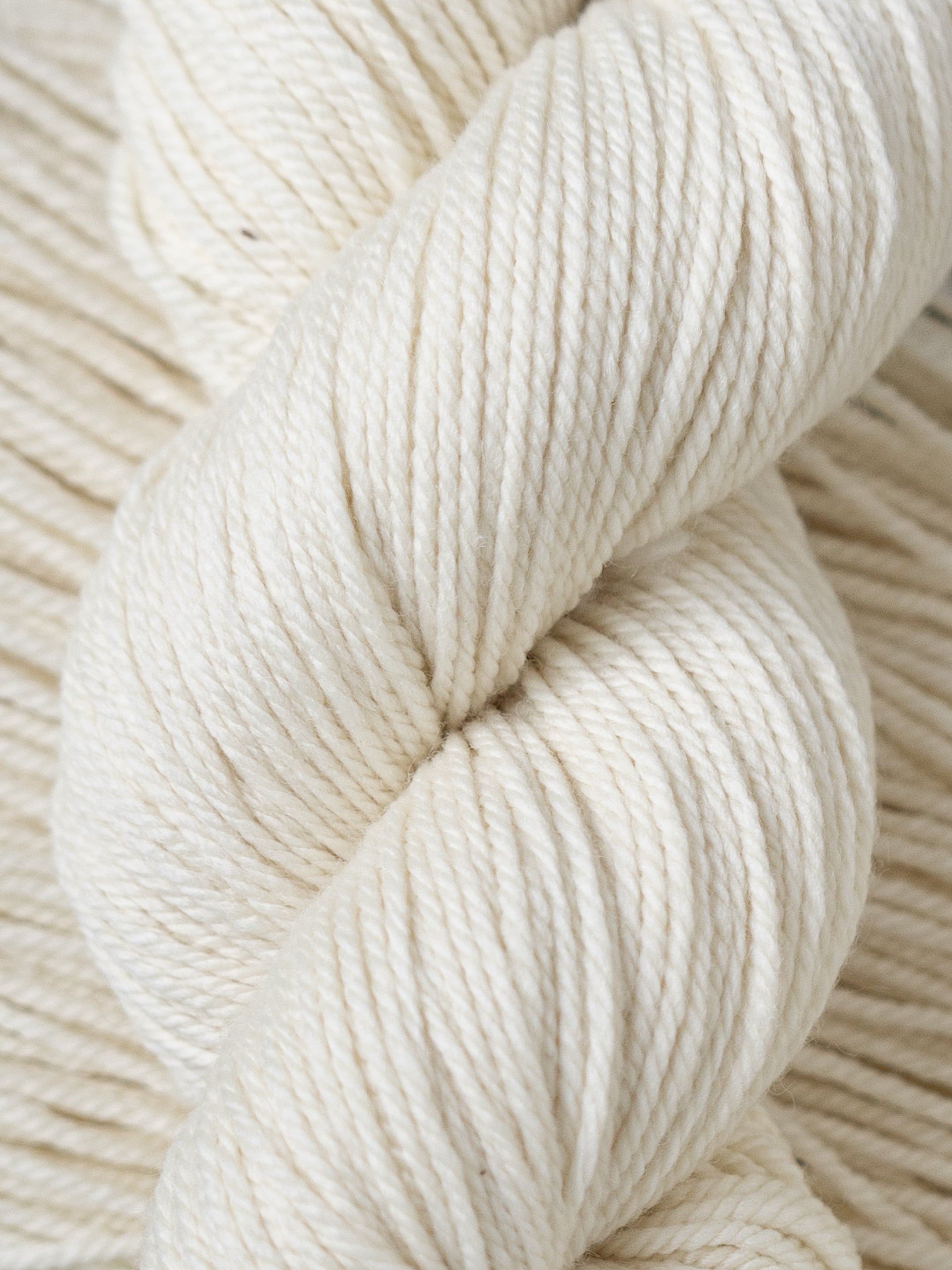 Festivus 9.0 Worsted <br><small>100% Merino Wool</small>