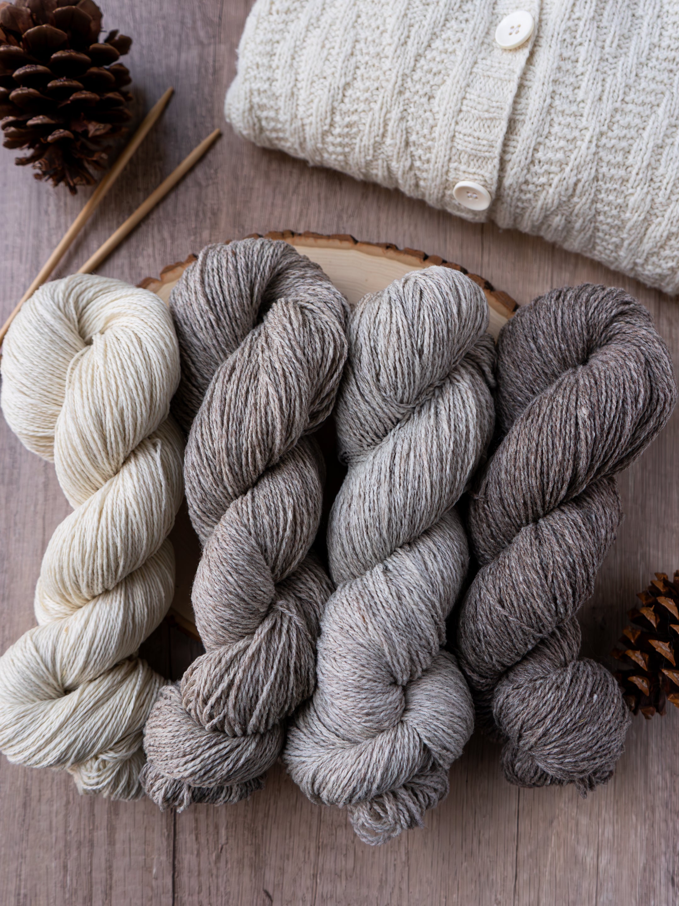 Targhee Tango Sport <br><small>100% targhee wool</small>