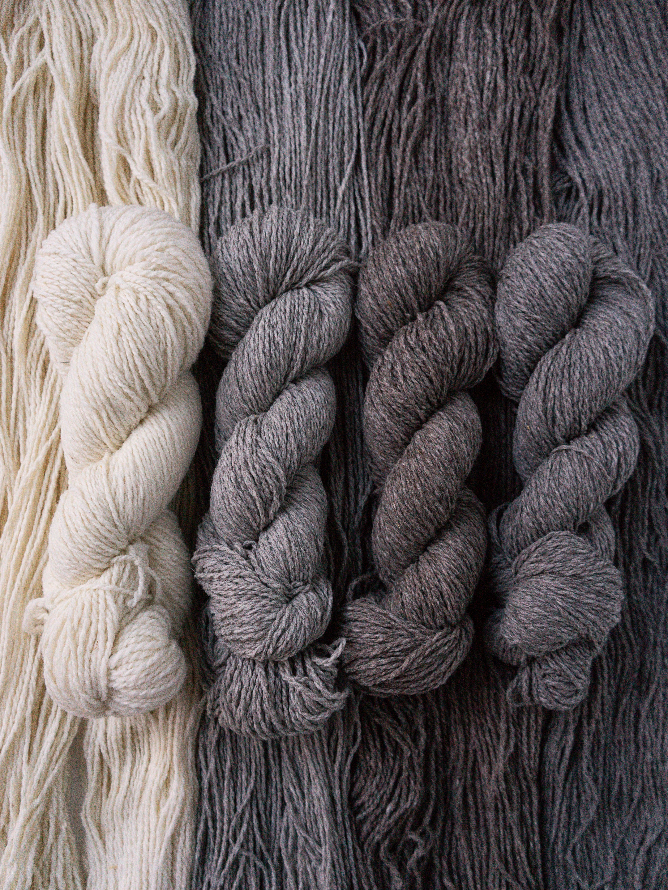 Targhee Tango Worsted <br><small>100% targhee wool</small>